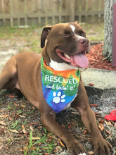 Load image into Gallery viewer, Rescued Tie Dye Dog Bandana