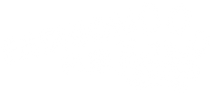 Fashion Fur Paws